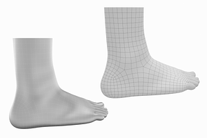 Human Feet Standing Base Mesh