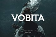 Frozenca Modern Serif Display Font, a Serif Font by UICreative (Thumbnail 2 of 12)