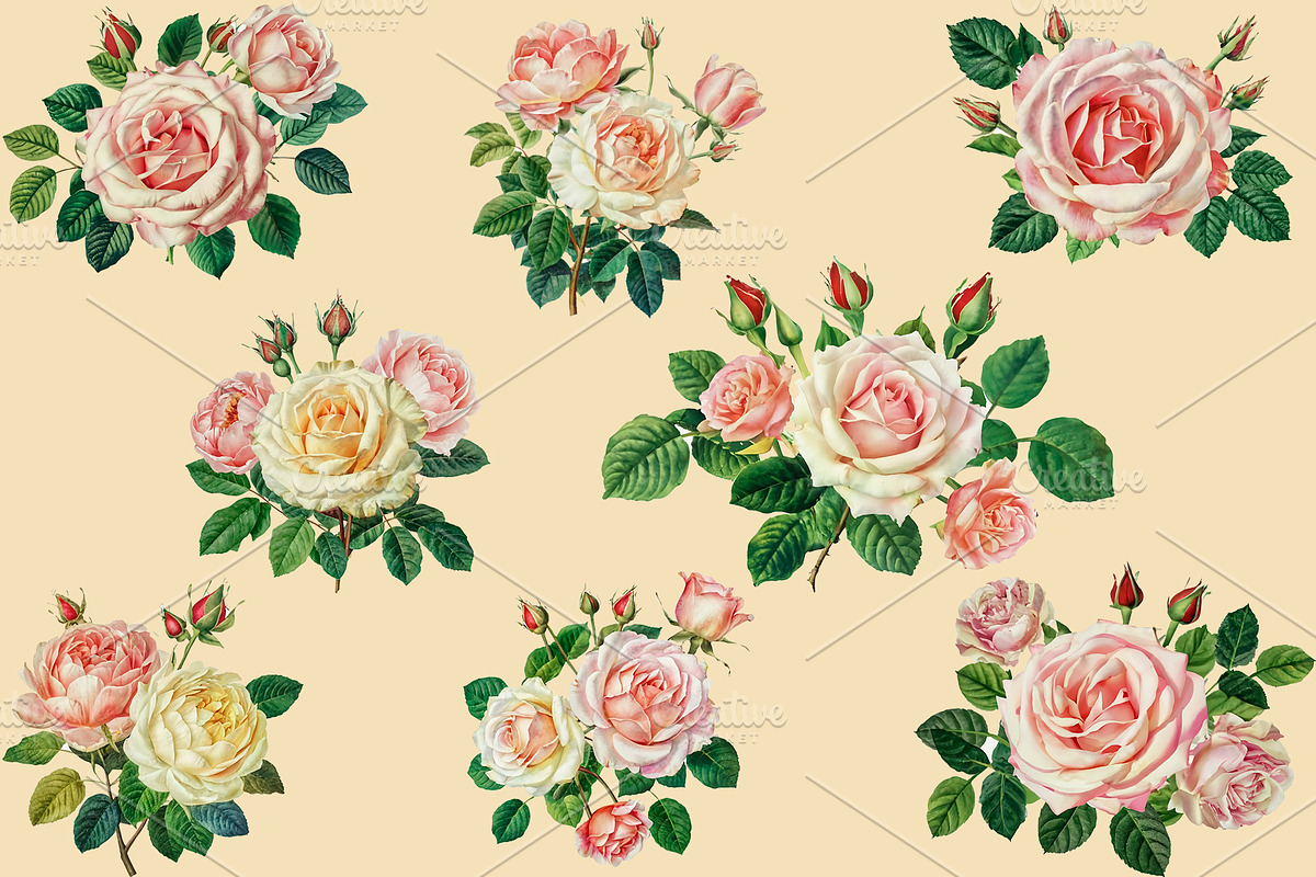 Vintage Collage Creator 99+ Elements, an Illustration by DigitalDesignAI (Photo 12 of 28)