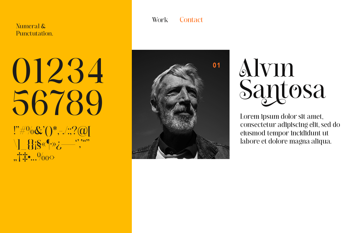 Jarekuh, a Serif Font by Differentialtype (Photo 4 of 10)