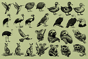 330 ZOO Animals vector illustrations, an Animal Illustration by Nocturnal Wolf (Thumbnail 10 of 18)