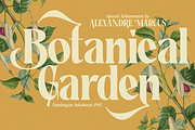 Rakizen Bisrony — Modern & Classic, a Serif Font by Enxyclo Studio (Thumbnail 5 of 23)
