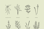 Cooking Herbs & Plants, an Illustration by Crocus Paperi (Thumbnail 3 of 3)