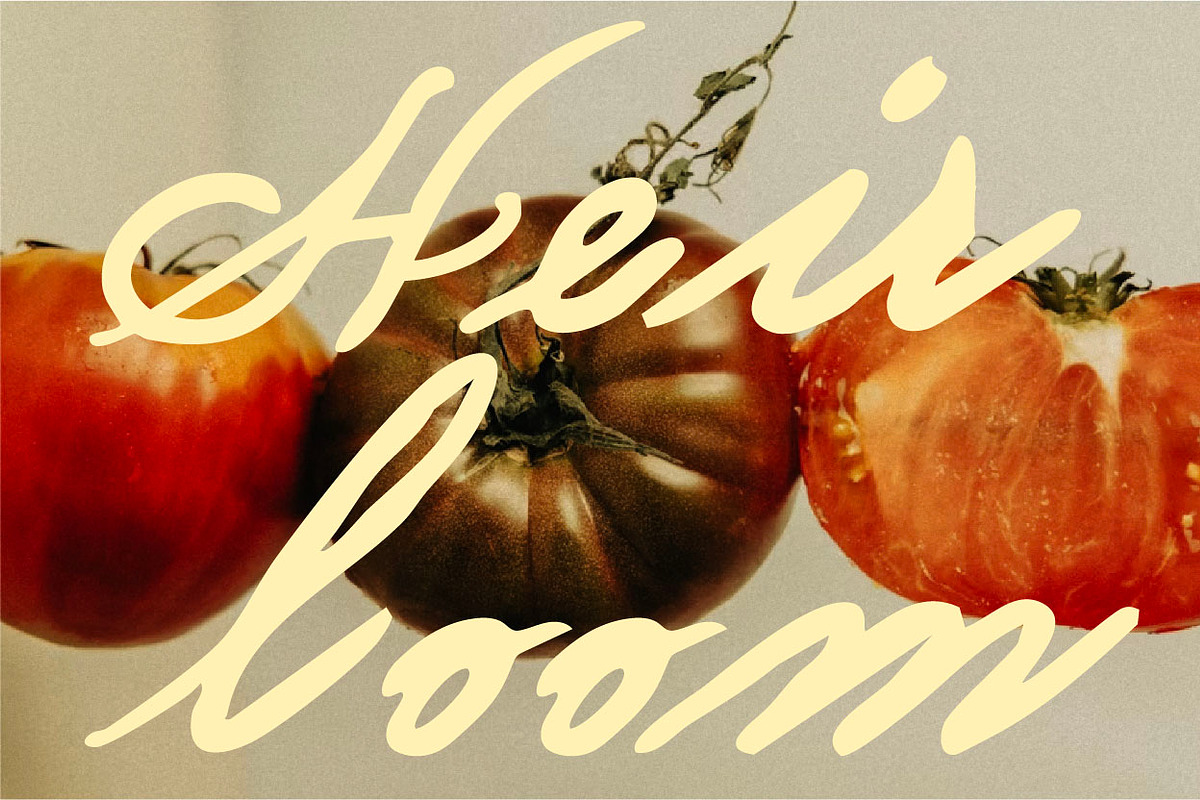 Heirloom - Decadent Handwritten font, a Font by Press & Pen (Photo 1 of 12)