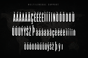 Coldcase - Modern Display Font, a Sans Serif Font by overlaytemplates (Thumbnail 5 of 5)