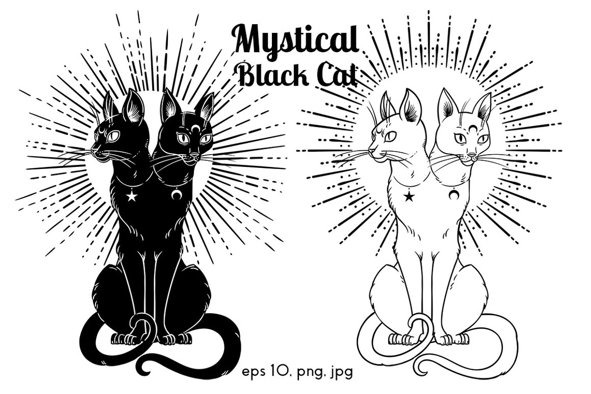 Mystical Black Cat, an Object Graphic by Anastasia (Photo 12 of 15)