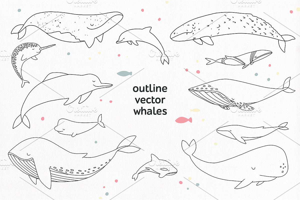 WHALES & another ocean creatures, an Animal Illustration by Alina Mubarak (Photo 3 of 12)