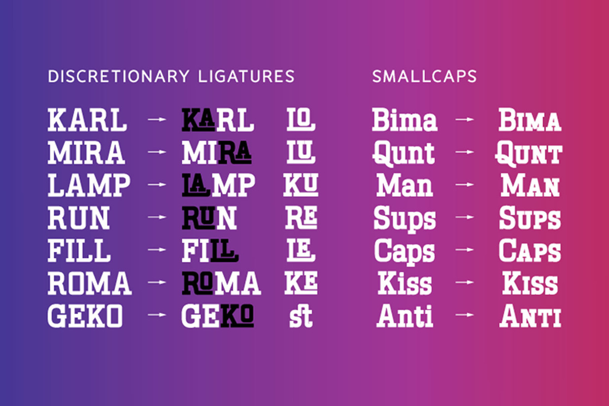 Mahardika | Variable Font Family, a Serif Font by Lemon Studio Type (Photo 3 of 6)