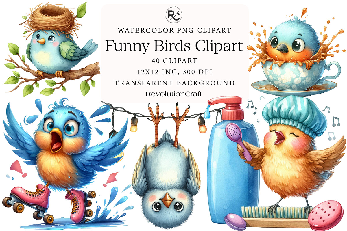 Watercolor Funny Birds Clipart, an Illustration by OK Design (Photo 1 of 5)