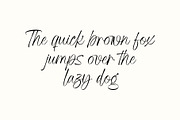 Adore Writing | Modern Script, a Script Font by Lemonthe (Thumbnail 4 of 9)