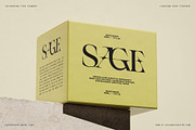 Spanish Archer - Ligature-Rich Font, a Serif Font by SilverStag Type Foundry (Thumbnail 5 of 19)