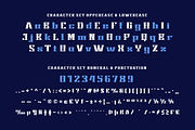 KING HOSHUN | Display Hero Font, a Serif Font by twinstd (Thumbnail 10 of 13)