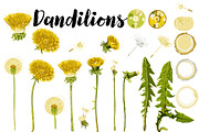 Vector Graphics Bundle, an Animal Illustration by Carrie Stephens Art (Thumbnail 30 of 43)