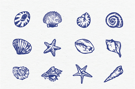 Sea Shell Clipart