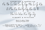 Signature, a Handwritten Font by FreshTypeINK (Thumbnail 4 of 8)