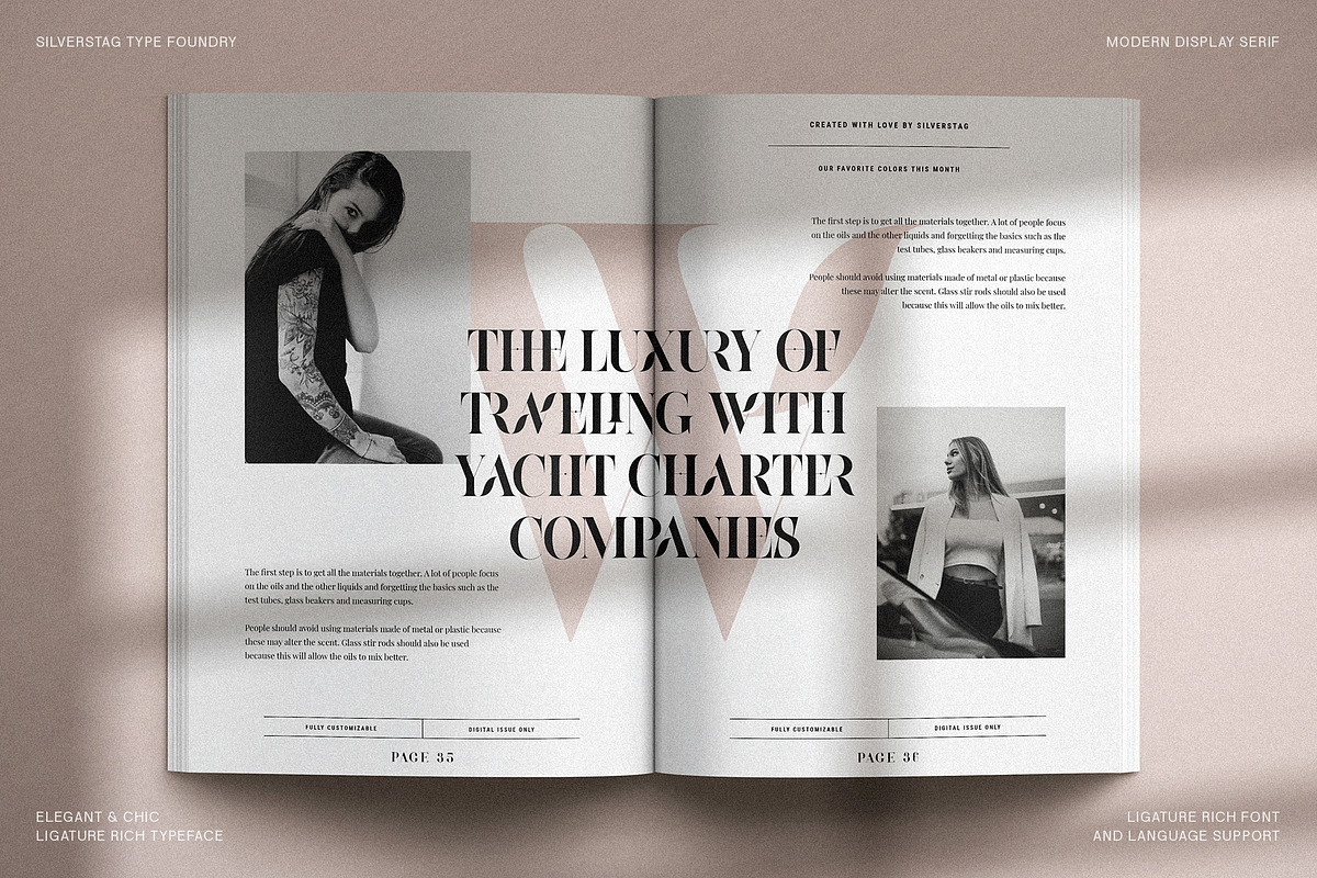 Raving Display Editorial Serif Font, a Serif Font by SilverStag Type Foundry (Photo 19 of 30)