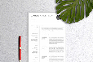 Resume Template / CV
