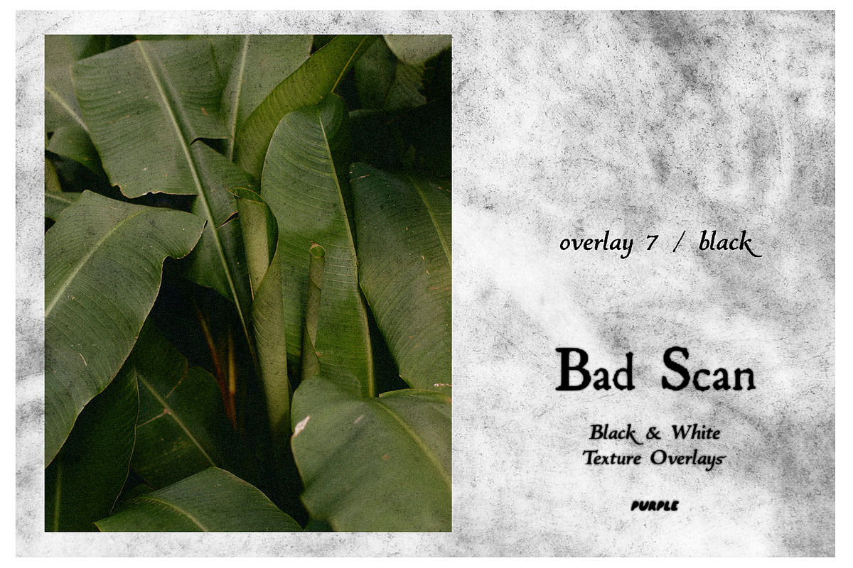 Bad Scan: Black & White Overlays, a Texture Graphic by Purple (Photo 8 of 21)