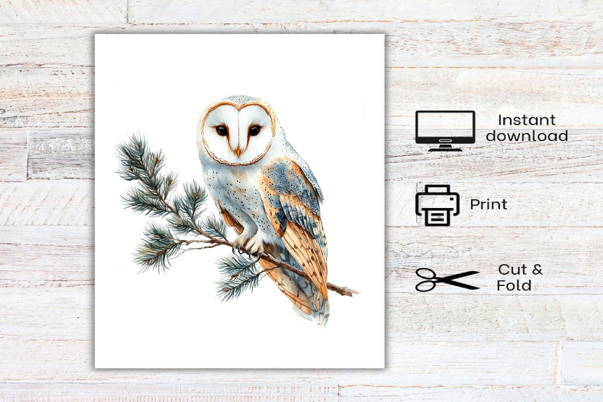 Christmas Barn Owl Clipart, an Illustration by Canvas Craft (Photo 8 of 8)