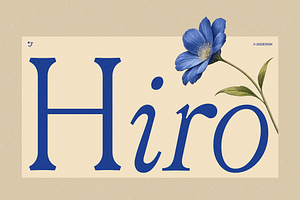 GG Hiro, a Serif Font by GG Design