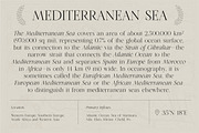 Olive and Figs - Regal Classic Serif, a Serif Font by Harmonais Visual (Thumbnail 6 of 12)
