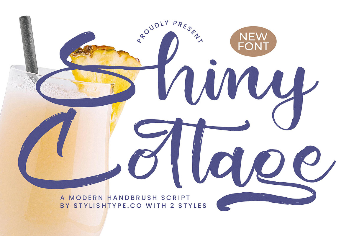 Shiny Cottage Modern Handbrush Font, a Script Font by stylishtype.co (Photo 1 of 20)