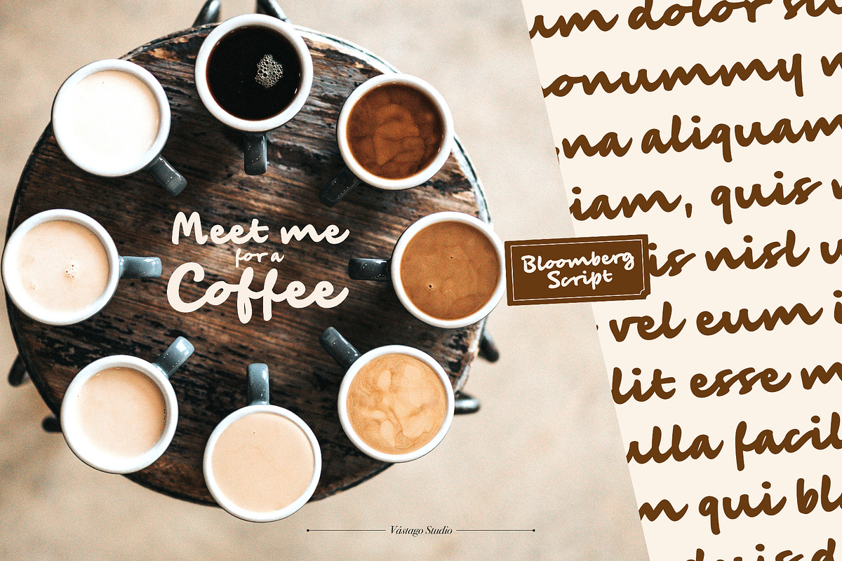 Bloomberg Script, a Script Font by Vastago Studio (Photo 9 of 9)