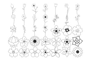 Floral Flower Set 10 Procreate Brush