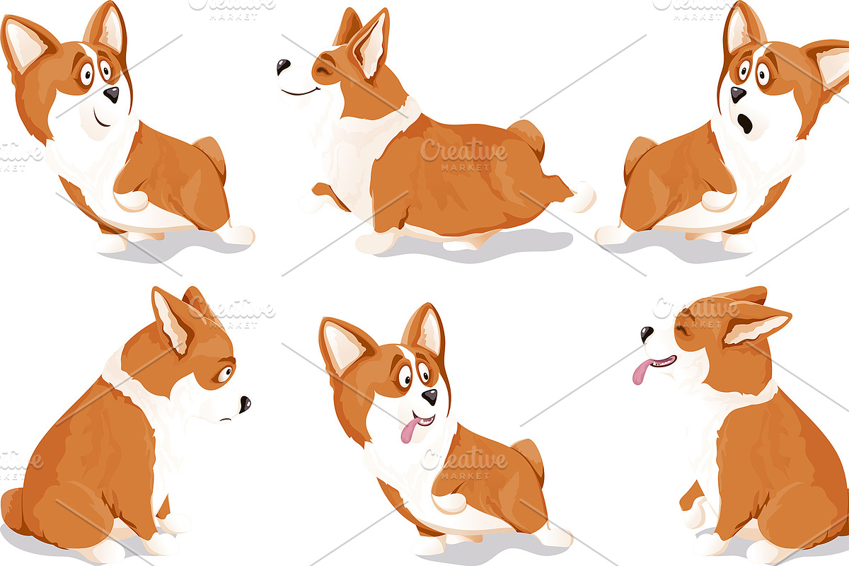 Lovely Corgi Dogs: cliparts & more, a Background Graphic by NKTN graphics (Photo 3 of 7)