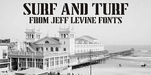 Surf and Turf JNL