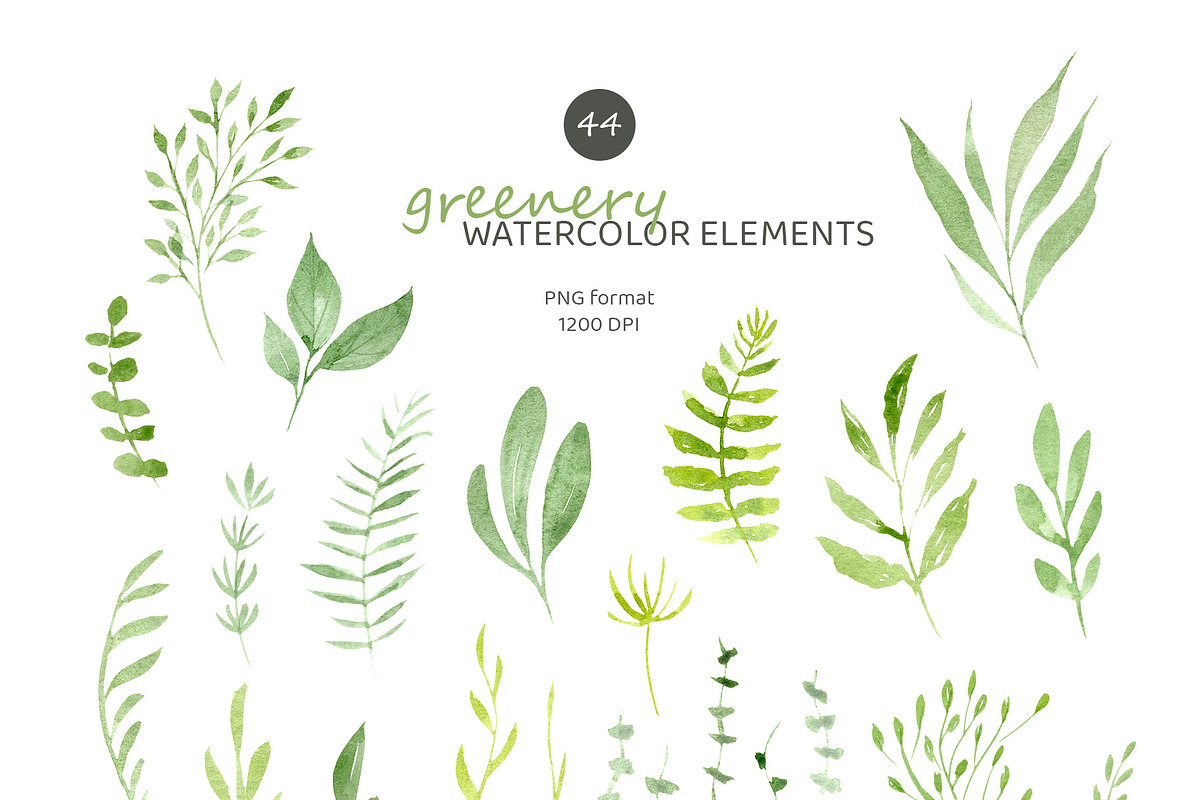 Greenery Watercolor Collection, a Decorative Illustration by Liliia Polos Illustration (Photo 8 of 10)