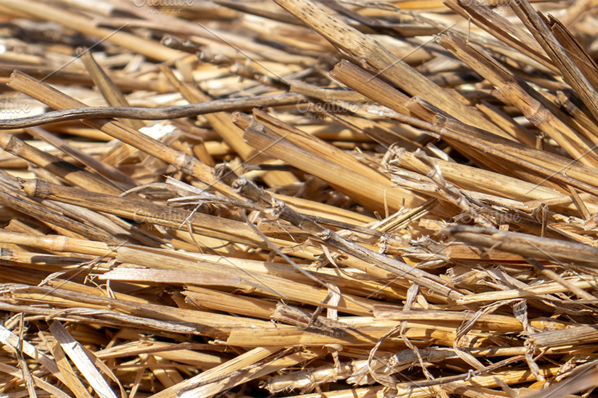 The straw lies on the ground, an Abstract Photo by Schreibikus (Photo 5 of 7)