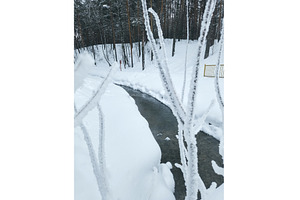 Snowy river flows through forest, an Animal Photo by darksoul72