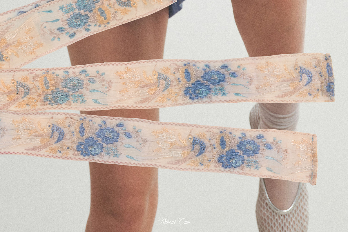 Ribbon & Trim Vintage PNG Collection, a Texture Graphic by Kaleriia (Photo 5 of 15)
