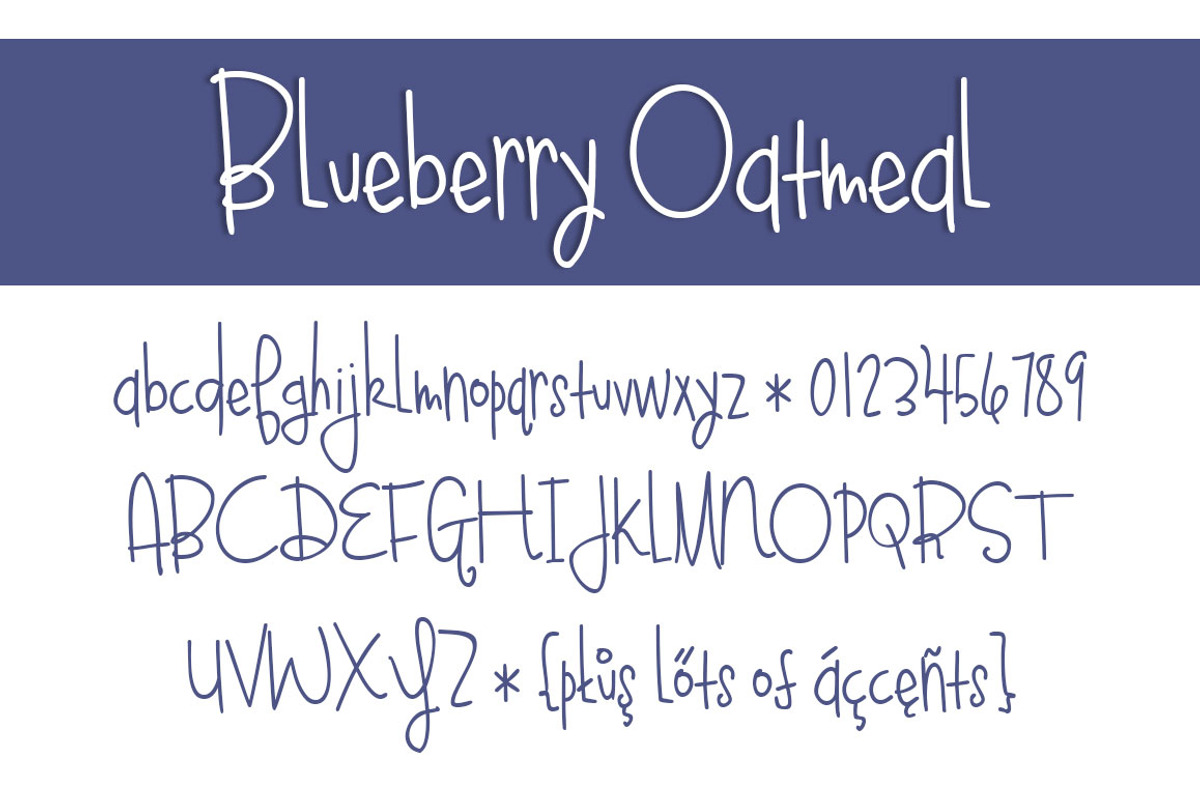Blueberry Oatmeal Font Family preview 3