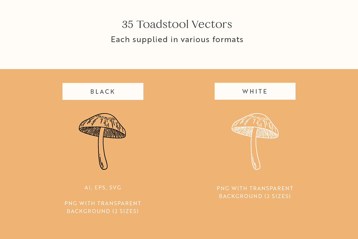 Toadstools Vector Illustrations, a Decorative Illustration by Emma Webb Studio (Photo 4 of 7)