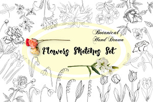 Flowers Sketches Set