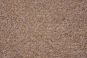 Light brown carpet texture, a Texture Graphic by Textures Shop (Thumbnail 1 of 2)