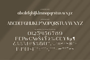 Aurenza - Modern Serif Font, a Serif Font by Rishsketch (Thumbnail 14 of 15)