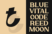 Rocktail – Retro Serif Display Font, a Serif Font by Artiveko (Thumbnail 5 of 8)
