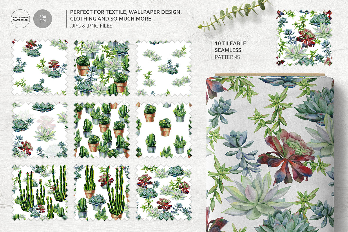 Cacti & Succulents, a Decorative Illustration by Anna Myslivets Art (Photo 4 of 9)