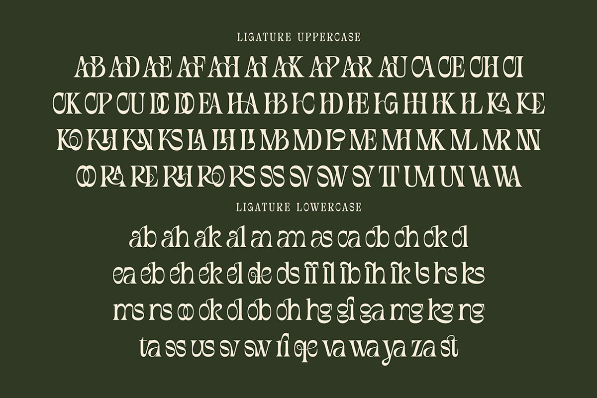 Douglas Thomson, a Serif Font by Cruzine (Photo 7 of 8)
