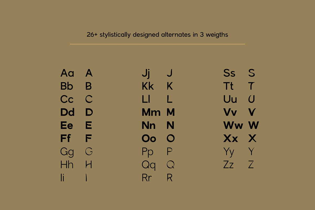 Karl – Cool Sans w Unique Alternates, a Sans Serif Font by Local Desk Designstudio (Photo 4 of 28)