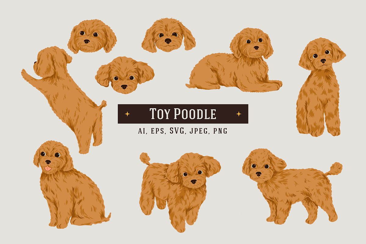 9 Toy Poodle Dogs, an Animal Illustration by helenreveur