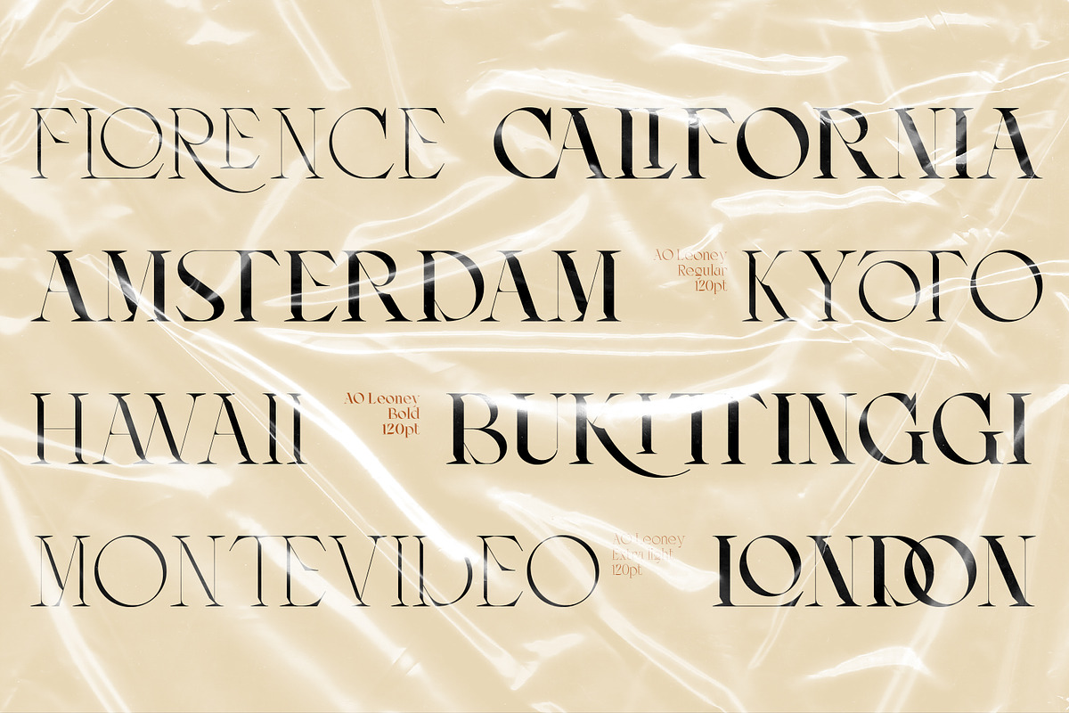 AO Leoney - Display Font Family, a Serif Font by OwunStudio (Photo 14 of 22)