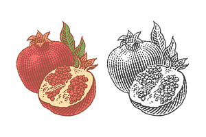 Pomegranate, a Food Illustration by Irina Trusova