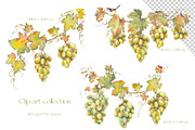 Watercolor Grapes Clipart Set, a Food Illustration by Jeanna Draw (Thumbnail 3 of 12)