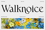 Walknoice - Modern Stylish, a Serif Font by RockboyStd (Thumbnail 1 of 12)