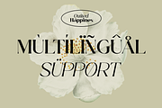 Quited Happines - Variable Elegant, a Serif Font by RagamKata (Thumbnail 10 of 10)