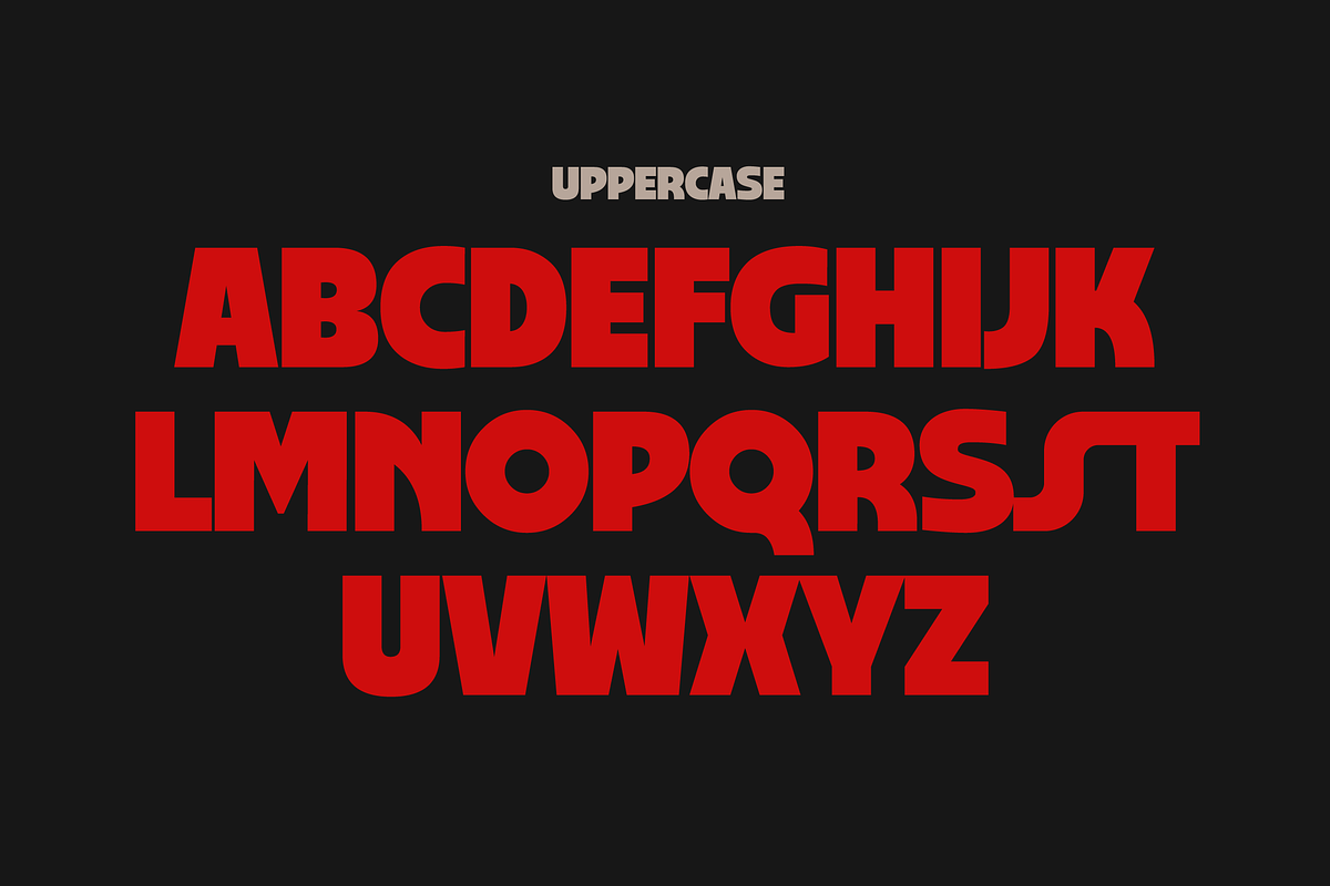 Cardinel - Bold Font, a Sans Serif Font by limitype (Photo 8 of 13)